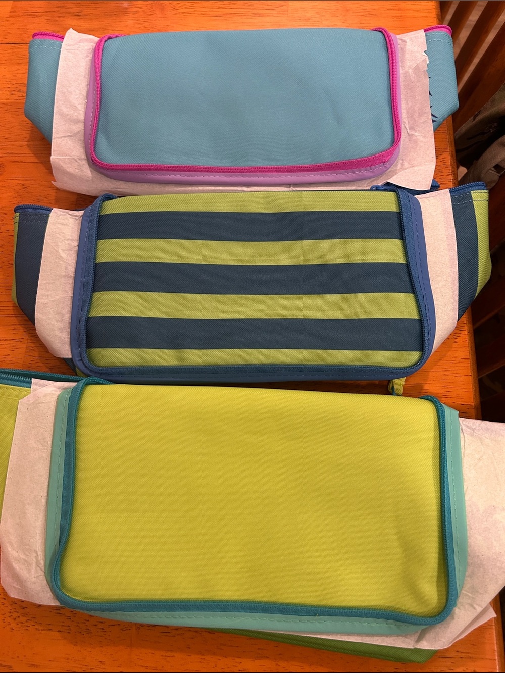 New! Trader Joe’s Mini Insulated Coolers!  Set of 3